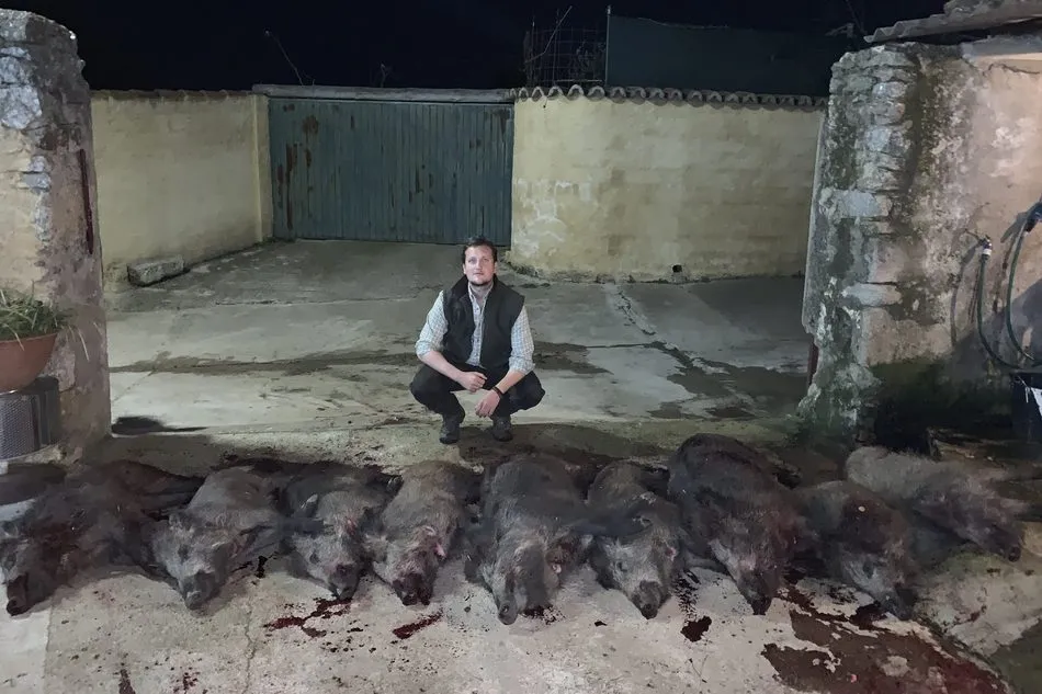 Foto 6 - Buena monter&iacute;a en Villar de la Yegua con 19 jabal&iacute;es abatidos  