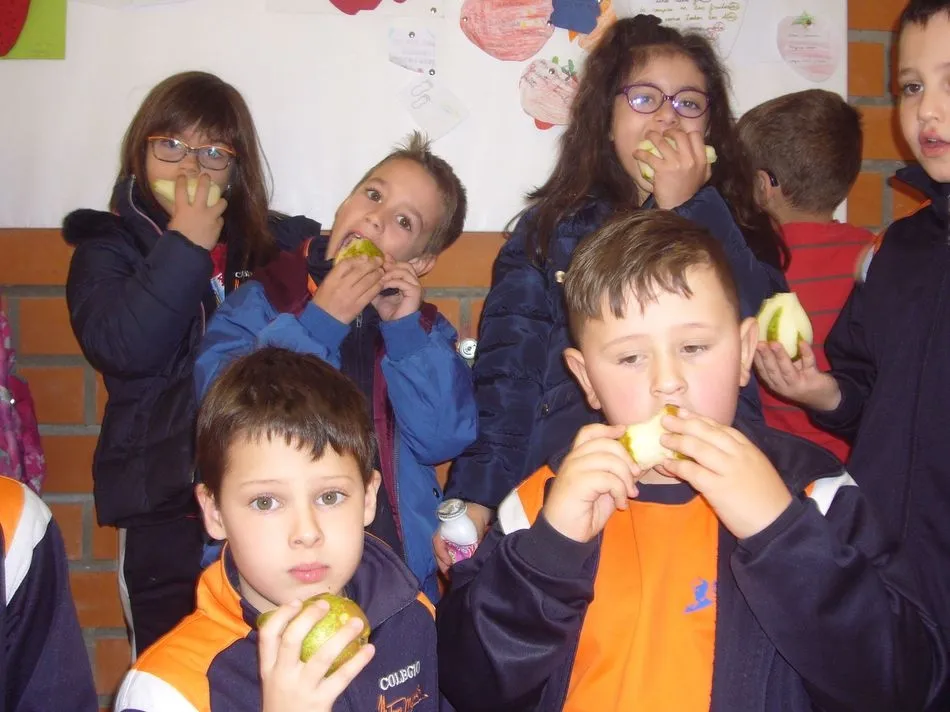 Foto 3 - El Colegio Antonio Machado inicia su primera Semana de la Fruta