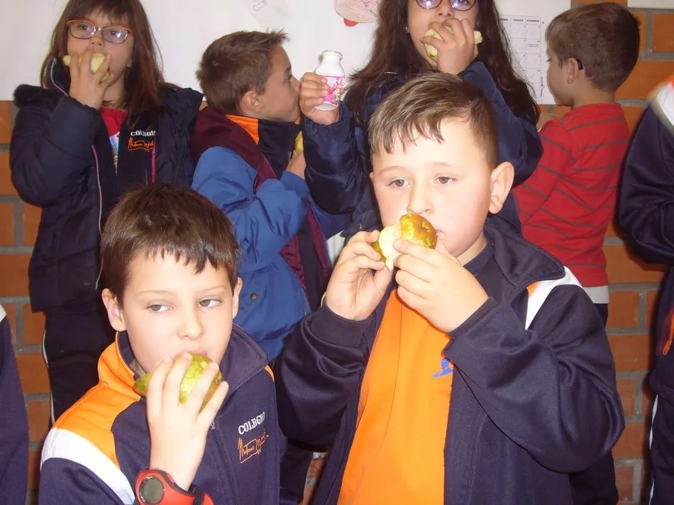 Foto 2 - El Colegio Antonio Machado inicia su primera Semana de la Fruta