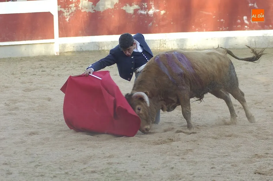 El Bolsín revela los 5 jóvenes que matarán un novillo en Carnaval  