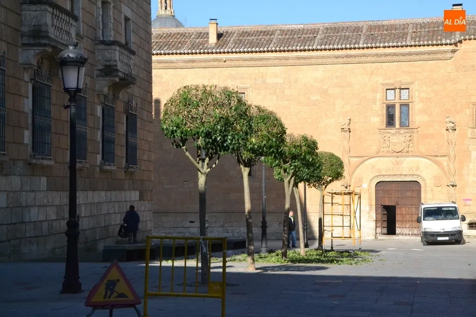 Foto 9 - Llega la arena a la Plaza Mayor entre los &uacute;ltimos preparativos para el Carnaval  