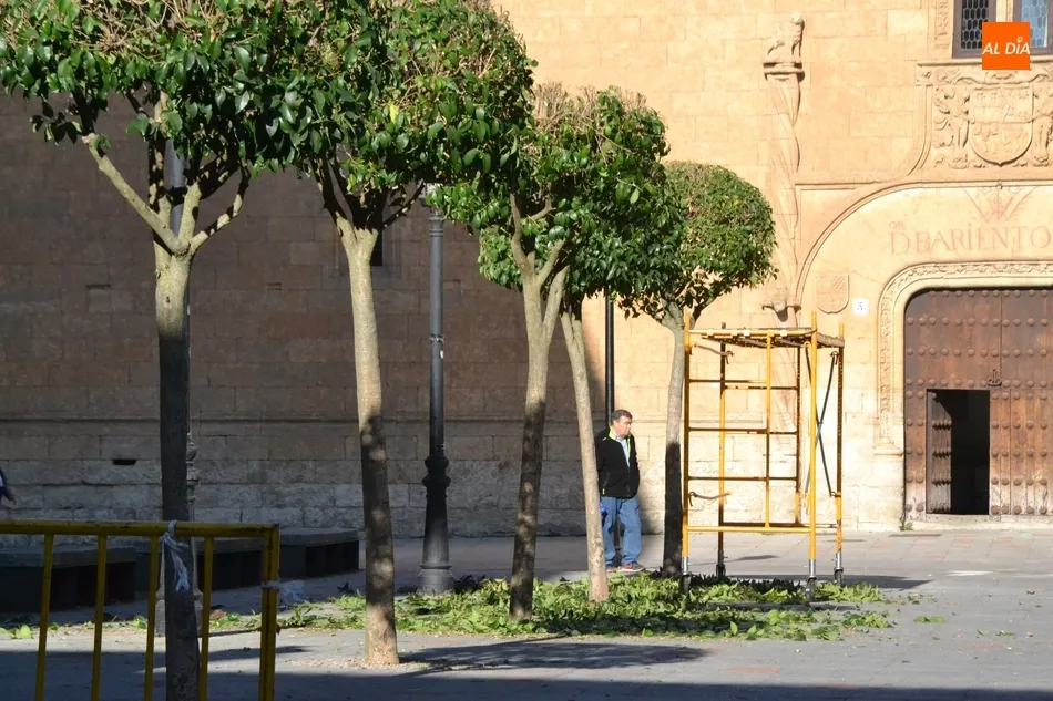 Foto 8 - Llega la arena a la Plaza Mayor entre los &uacute;ltimos preparativos para el Carnaval  