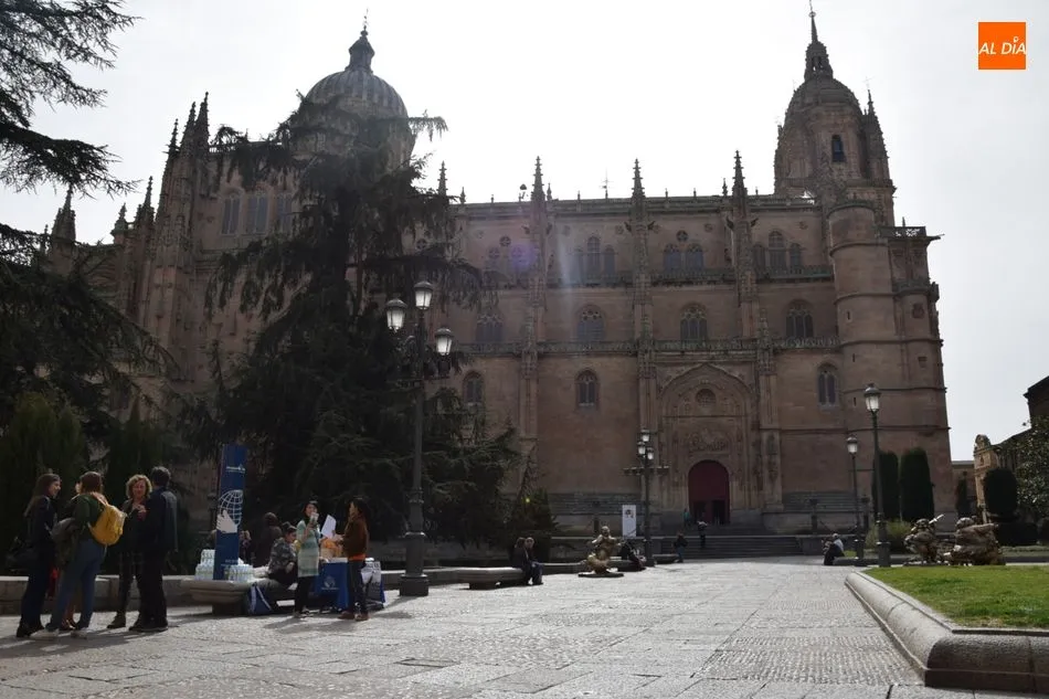 Foto 8 - La comunidad universitaria se vuelca con la nueva campa&ntilde;a de Manos Unidas