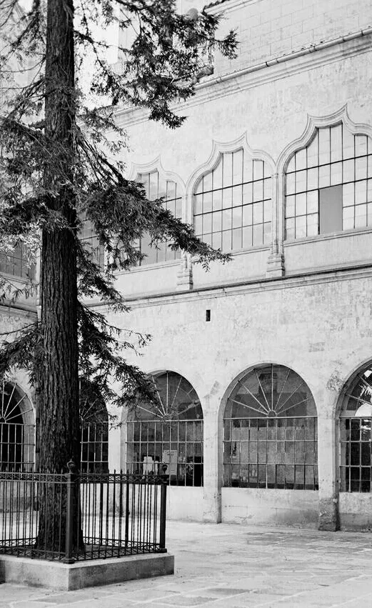 Foto 2 - Claustro de la Universidad de Salamanca