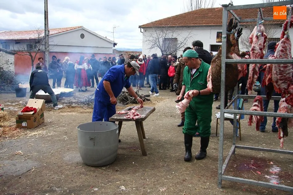 Foto 2 - Todo listo en Berrocal de Salvatierra para una matanza que espera mil visitantes