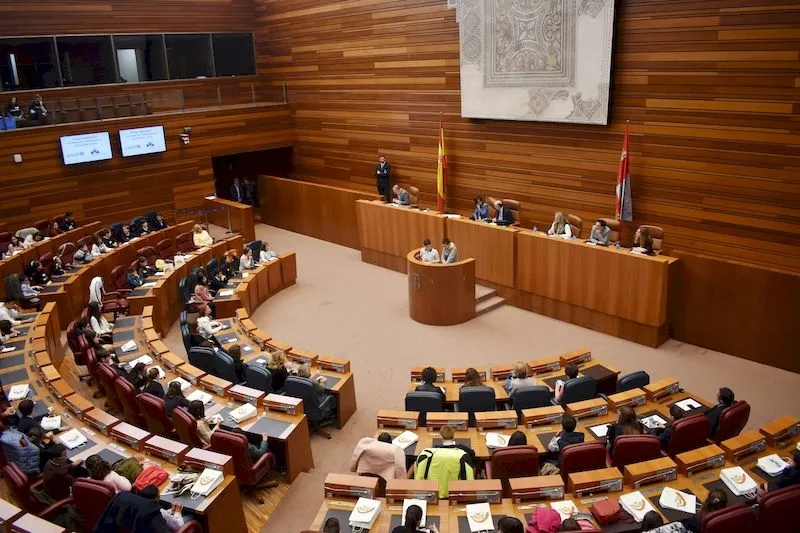 Foto 6 - Los ni&ntilde;os de Carbajosa participan en el I pleno auton&oacute;mico de Infancia y Adolescencia de Castilla ...