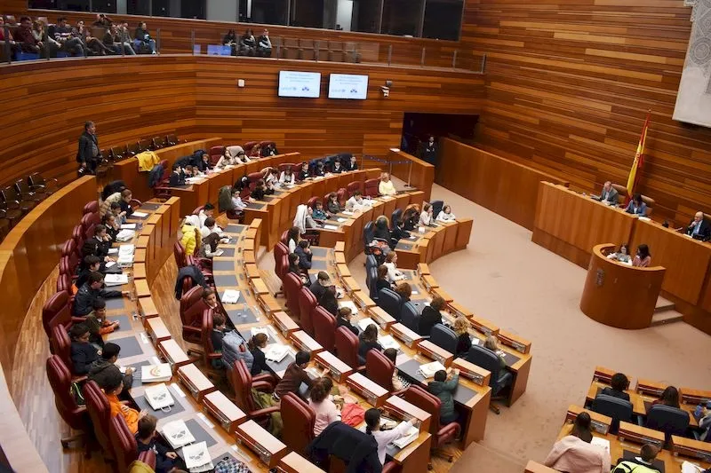 Foto 4 - Los ni&ntilde;os de Carbajosa participan en el I pleno auton&oacute;mico de Infancia y Adolescencia de Castilla ...