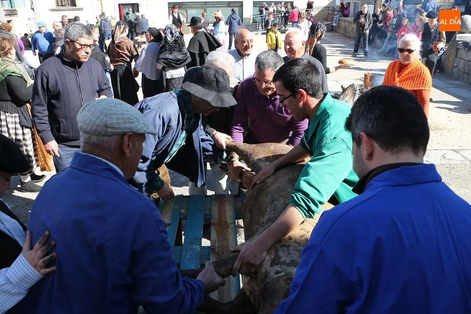 Foto 8 - Los Santos cumple con su tradicional cita matancera