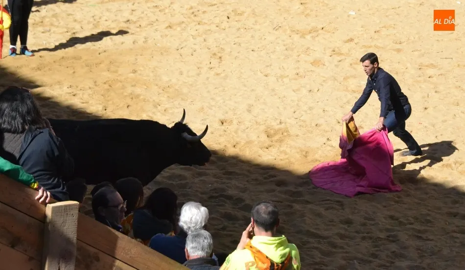 Foto 5 - Desperdigada carrera de los toros de Galache, que se resistieron a entrar en toriles  