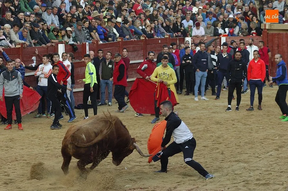 El Toro del Antruejo y los Galache, que dejaron otro corneado, empalman con el Madrid-Barça  
