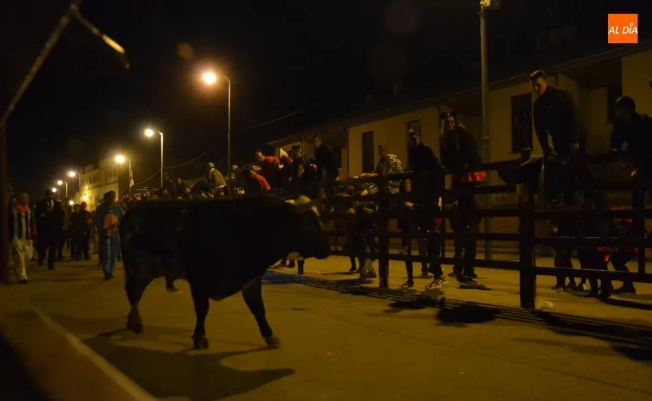 Foto 7 - El Toro del Antruejo y los Galache, que dejaron otro corneado, empalman con el Madrid-Bar&ccedil;a  