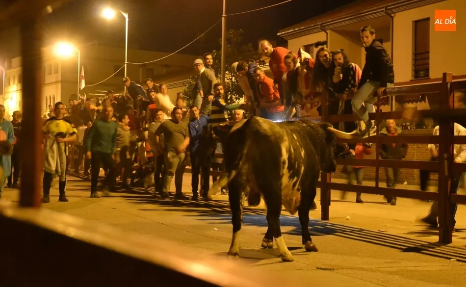 Foto 8 - El Toro del Antruejo y los Galache, que dejaron otro corneado, empalman con el Madrid-Bar&ccedil;a  