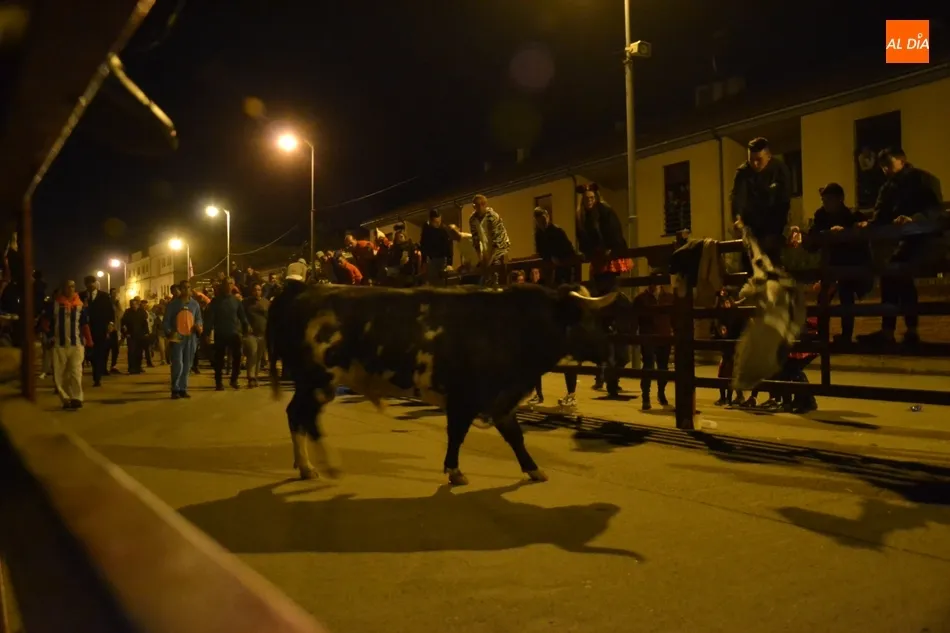 Foto 6 - El Toro del Antruejo y los Galache, que dejaron otro corneado, empalman con el Madrid-Bar&ccedil;a  