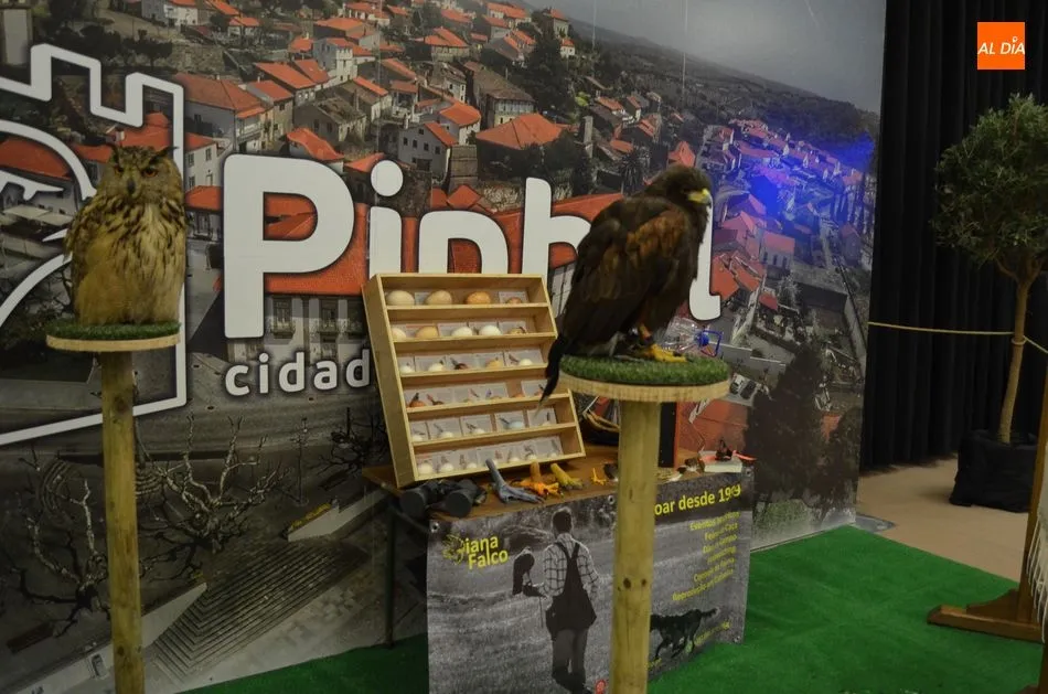 Foto 7 - B&eacute;jar invitada en la 24&ordf; Feria de las Tradiciones y Actividades Econ&oacute;micas de Pinhel  