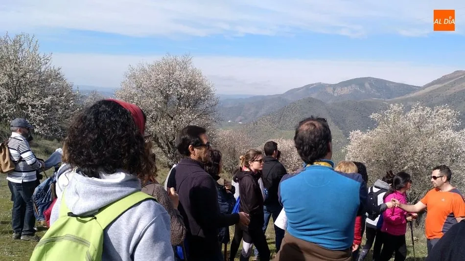 Foto 4 - Medio centenar de senderistas disfrutan de una interesante Ruta por los Almendros en Flor de La...