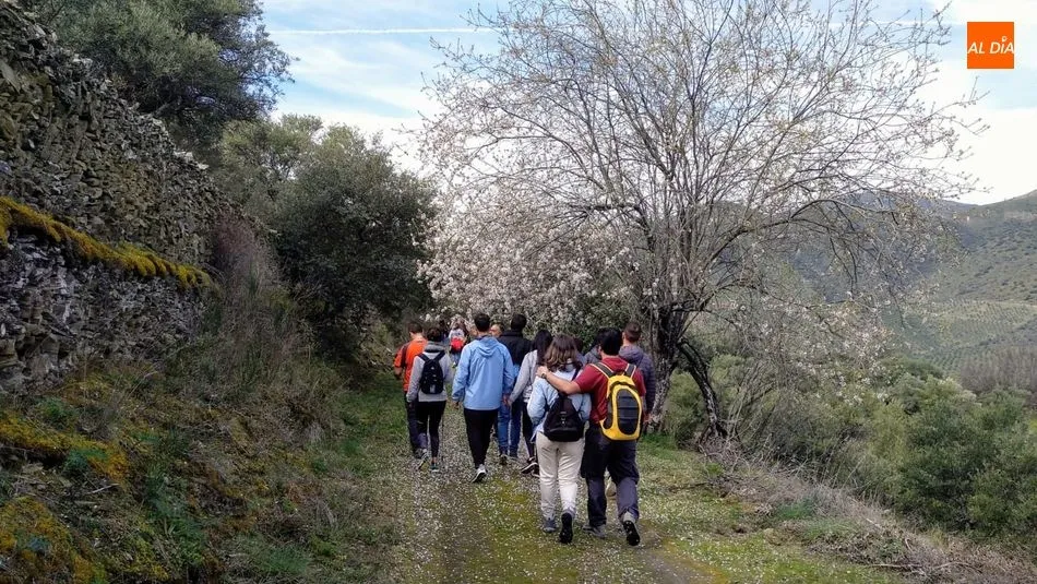 Foto 2 - Medio centenar de senderistas disfrutan de una interesante Ruta por los Almendros en Flor de La...