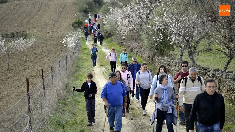 Medio centenar de senderistas disfrutan de una interesante Ruta por los Almendros en Flor de La...