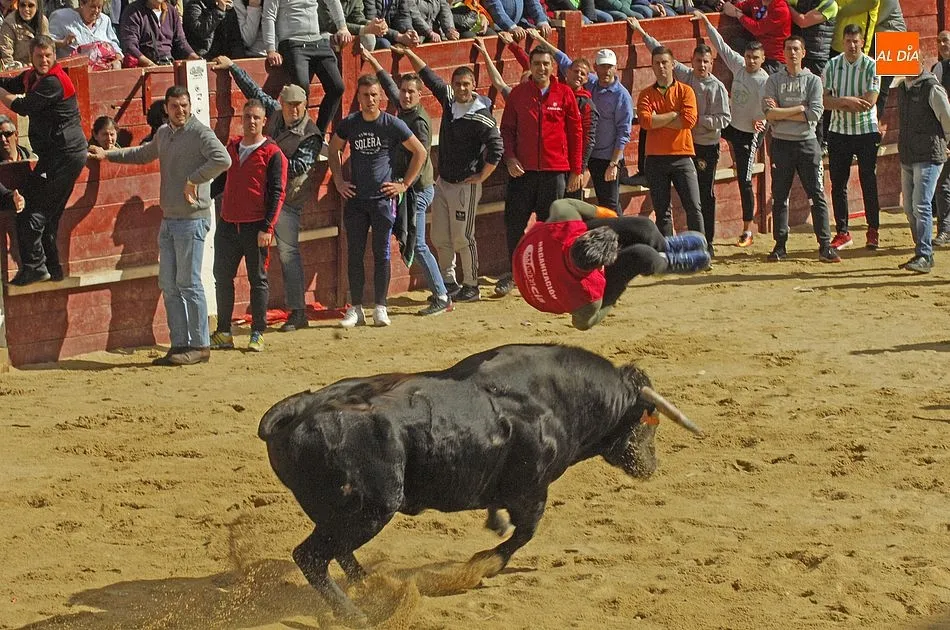 Foto 9 - Los eventos taurinos de la ma&ntilde;ana del Domingo dejan hasta 7 heridos, ninguno de gravedad  