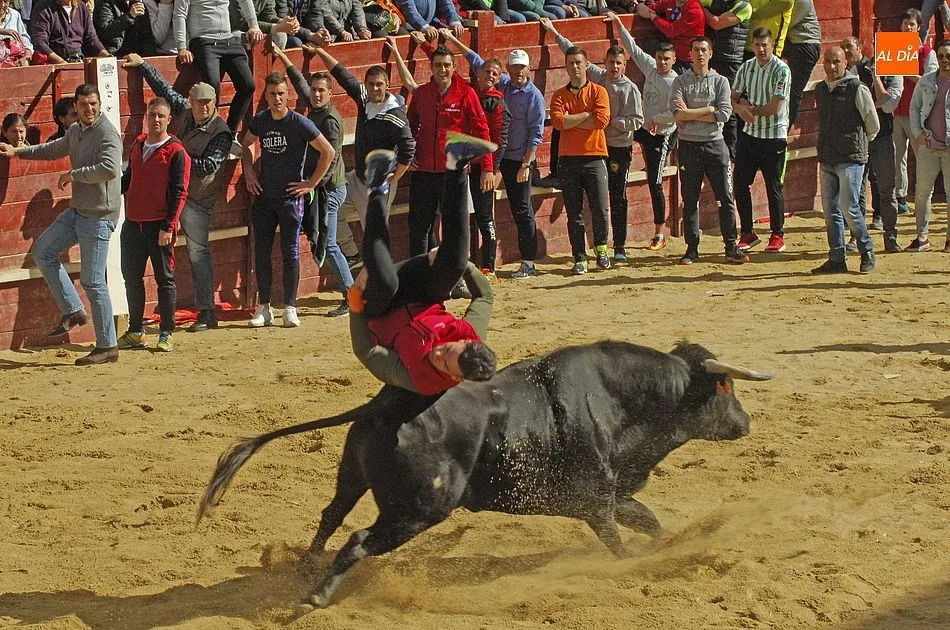 Foto 8 - Los eventos taurinos de la ma&ntilde;ana del Domingo dejan hasta 7 heridos, ninguno de gravedad  