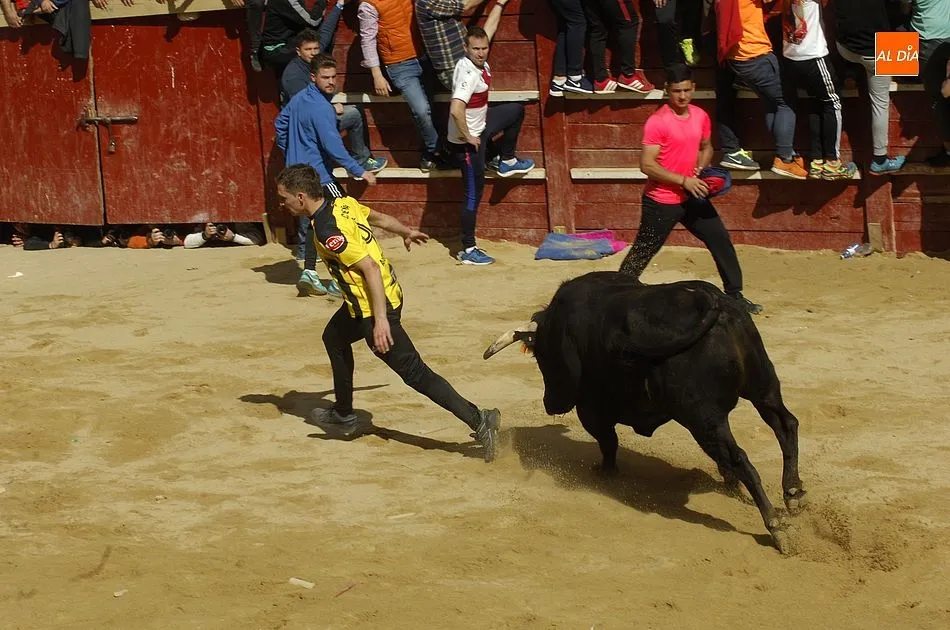Foto 2 - Los eventos taurinos de la ma&ntilde;ana del Domingo dejan hasta 7 heridos, ninguno de gravedad  