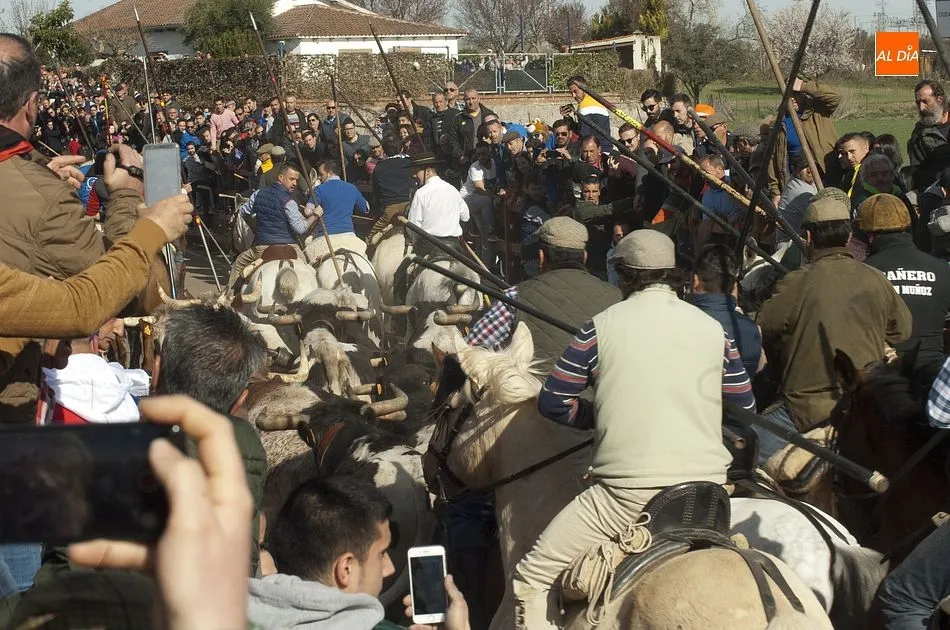 Foto 10 - Decenas de miles de personas presencian el mejor encierro a caballo de los &uacute;ltimos a&ntilde;os  