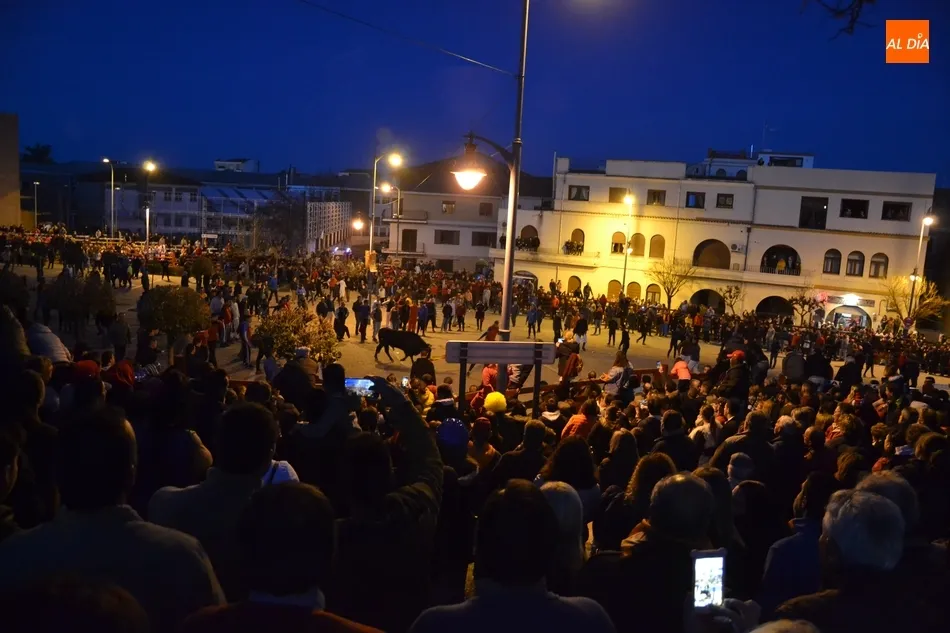 Foto 6 - Entretenida y limpia tarde dominical con los astados de Pilar Poblaci&oacute;n  