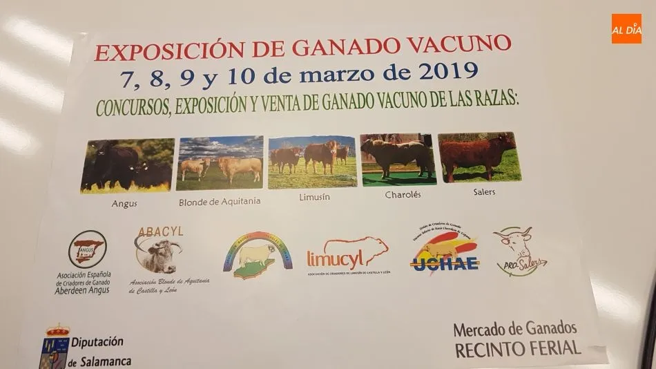 Foto 4 - Casi 250 ejemplares de 52 ganader&iacute;as participan en la&nbsp;Exposici&oacute;n de Ganado Vacuno del 7 al 10 de ...