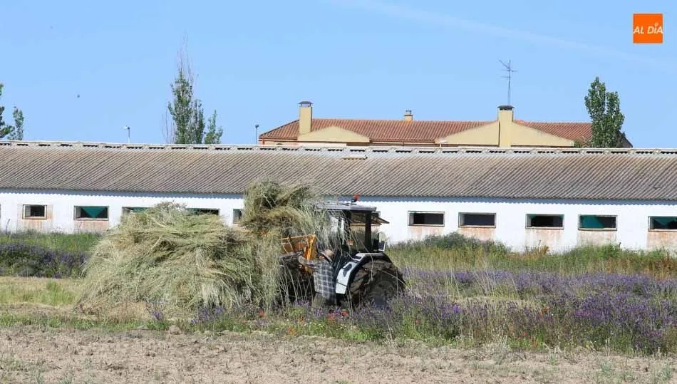 Febrero finaliza con tres afiliados más al Sistema  Especial Agrario