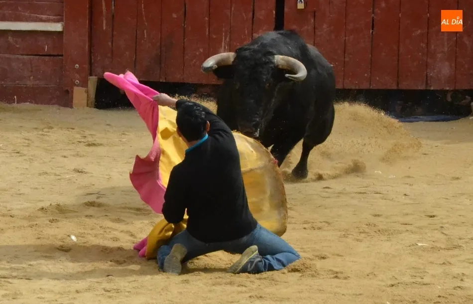 Un encierro fugaz y casi compacto da paso a una buena capea que incluyó dos puertas gayolas  