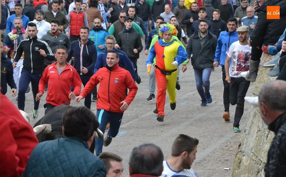 Foto 10 - Un encierro fugaz y casi compacto da paso a una buena capea que incluy&oacute; dos puertas gayolas  