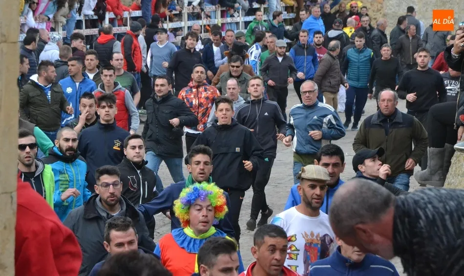 Foto 9 - Un encierro fugaz y casi compacto da paso a una buena capea que incluy&oacute; dos puertas gayolas  