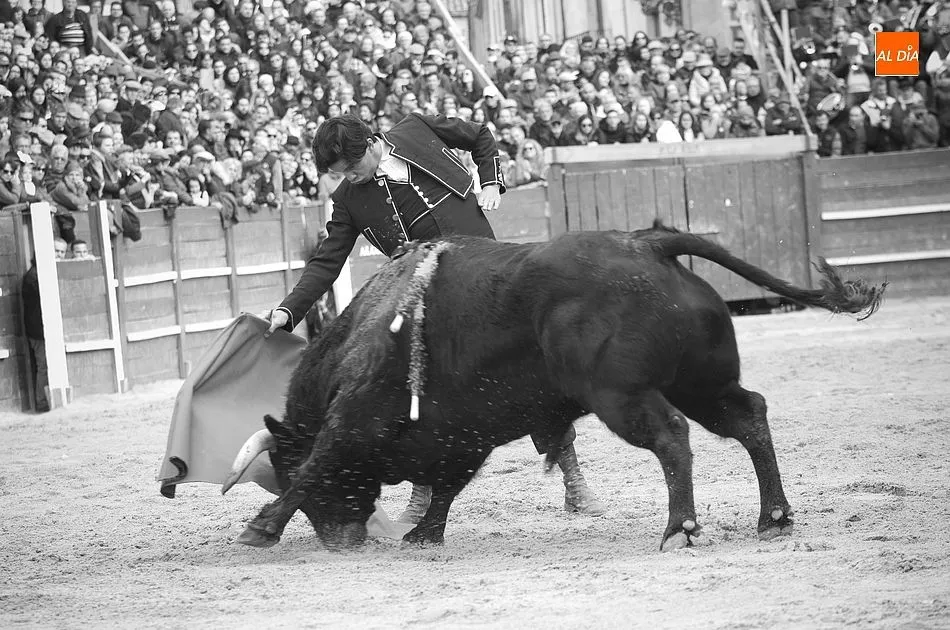 Foto 3 - Cuando la zorra guarda el gallinero