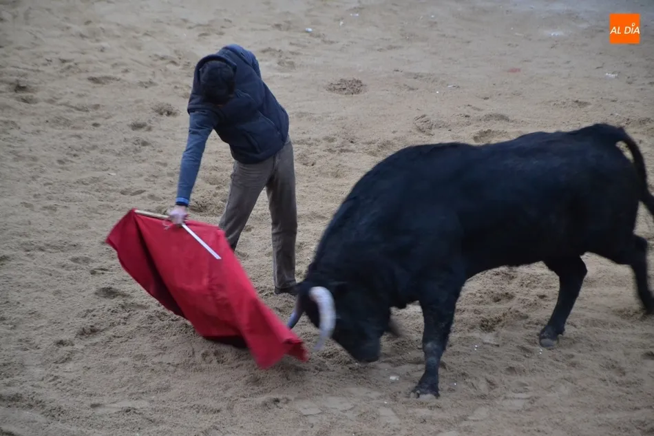 Foto 10 - Los astados de El Canario despiden una buena jornada taurina dejando un herido muy grave  