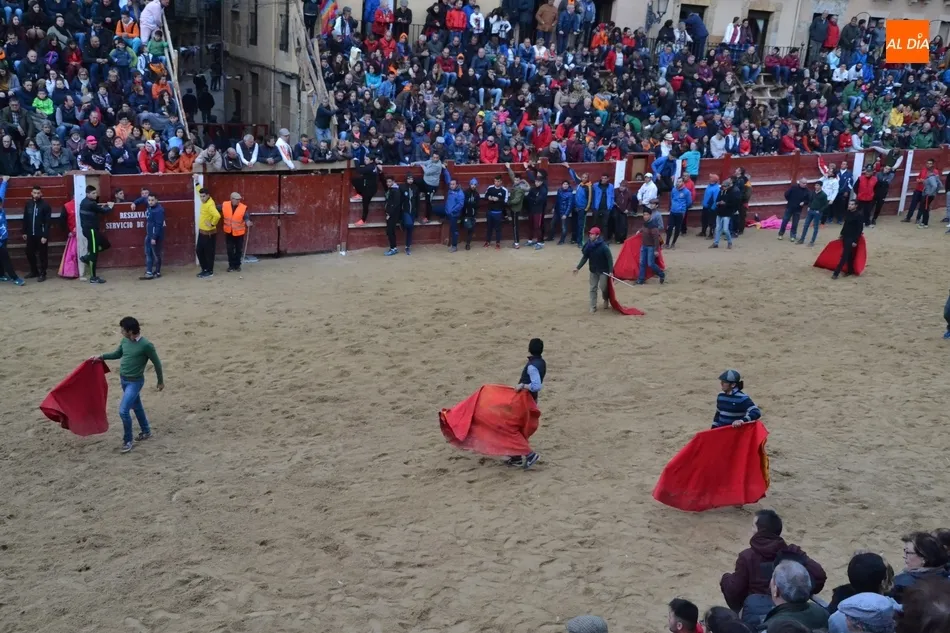 Foto 11 - Los astados de El Canario despiden una buena jornada taurina dejando un herido muy grave  