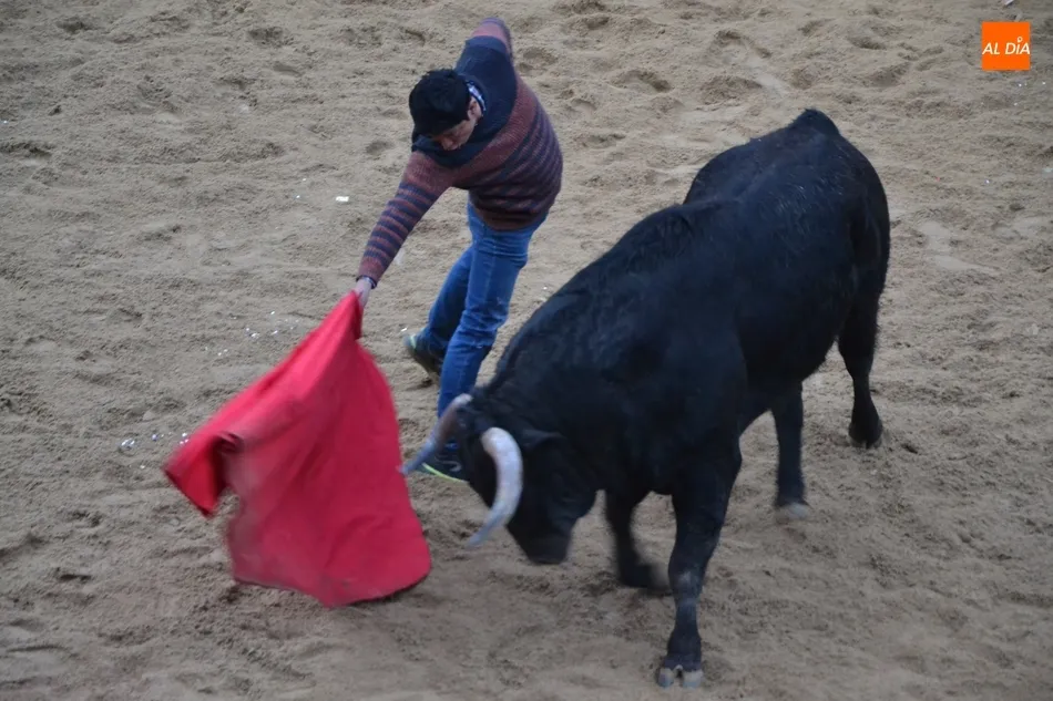 Foto 9 - Los astados de El Canario despiden una buena jornada taurina dejando un herido muy grave  