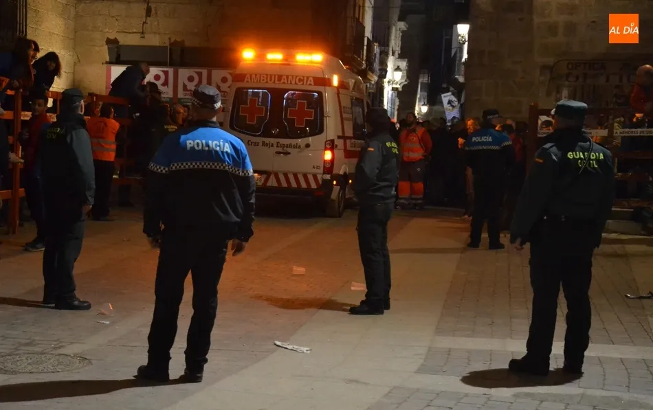 Foto 2 - Los astados de El Canario despiden una buena jornada taurina dejando un herido muy grave  
