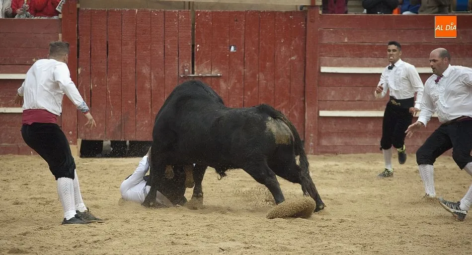 Foto 10 - El espect&aacute;culo de los recortes se hace de nuevo un hueco formal en la Plaza Mayor  