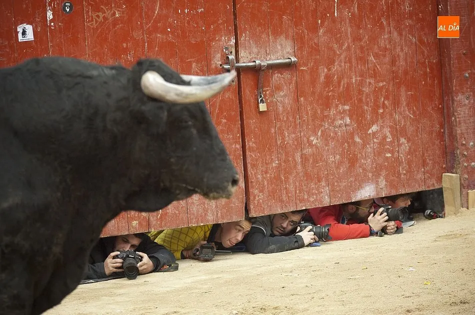 Foto 4 - El espect&aacute;culo de los recortes se hace de nuevo un hueco formal en la Plaza Mayor  