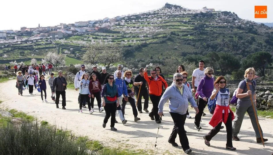 Los senderistas se encontrarán con los almendros en flor y con la naturaleza en plena efervescencia  / CORRAL