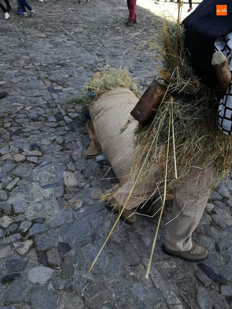 Foto 8 - Los tradicionales disfraces dan colorido al carnaval albercano