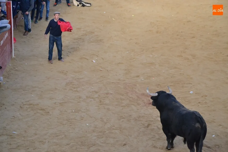 Foto 7 - Decepci&oacute;n con el Toro del Aguardiente al no llegar a salir de la Plaza Mayor  