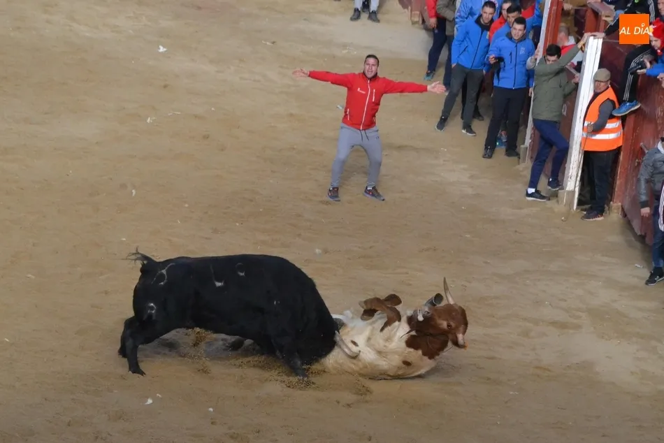 Foto 5 - Decepci&oacute;n con el Toro del Aguardiente al no llegar a salir de la Plaza Mayor  