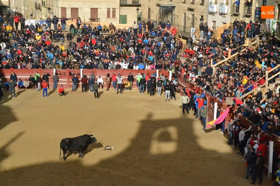 Foto 10 - Decepci&oacute;n con el Toro del Aguardiente al no llegar a salir de la Plaza Mayor  