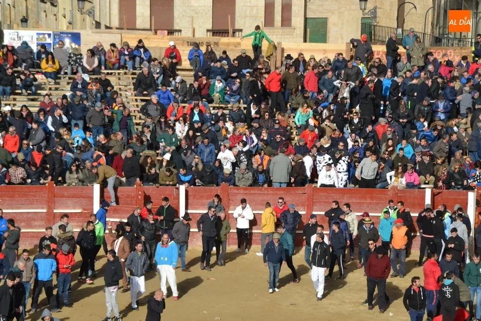 Foto 2 - Decepci&oacute;n con el Toro del Aguardiente al no llegar a salir de la Plaza Mayor  