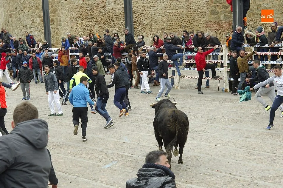 Foto 10 - Alta tensi&oacute;n entre recortadores y maletillas en la capea con los buenos astados de Talavante  