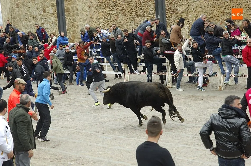 Foto 9 - Alta tensi&oacute;n entre recortadores y maletillas en la capea con los buenos astados de Talavante  