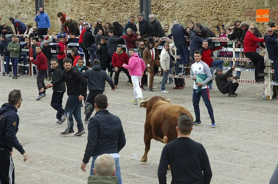 Foto 4 - Alta tensi&oacute;n entre recortadores y maletillas en la capea con los buenos astados de Talavante  
