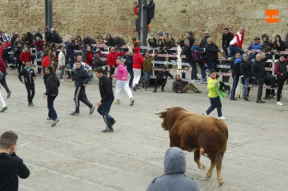 Foto 5 - Alta tensi&oacute;n entre recortadores y maletillas en la capea con los buenos astados de Talavante  
