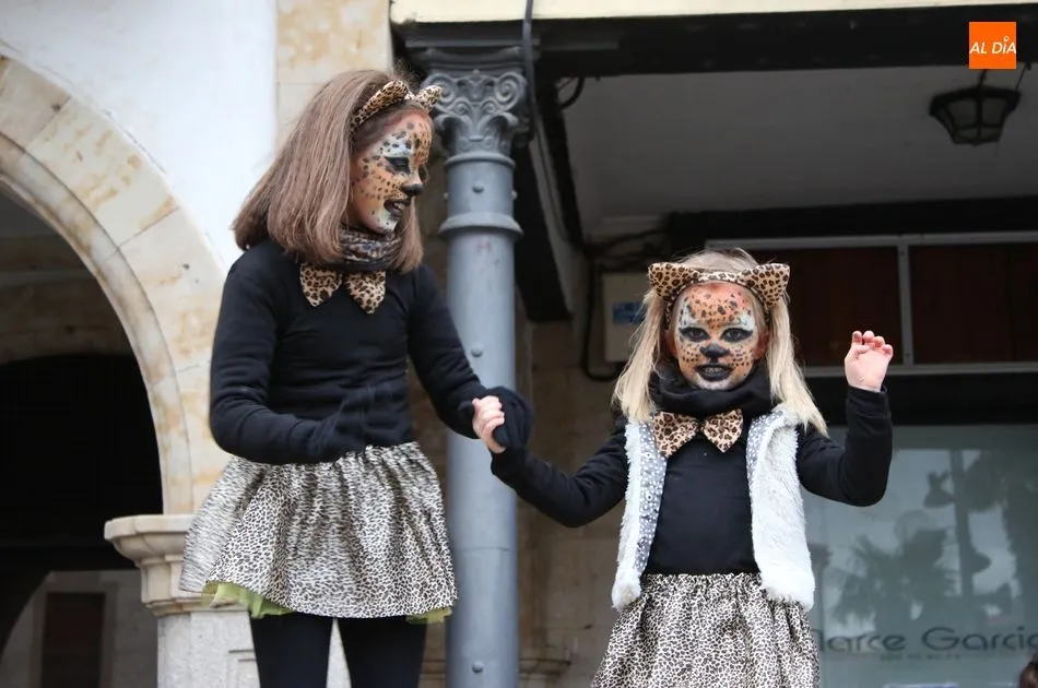 Foto 9 - GALER&Iacute;A DE IM&Aacute;GENES &ndash;&nbsp;Carnaval de Alba de Tormes