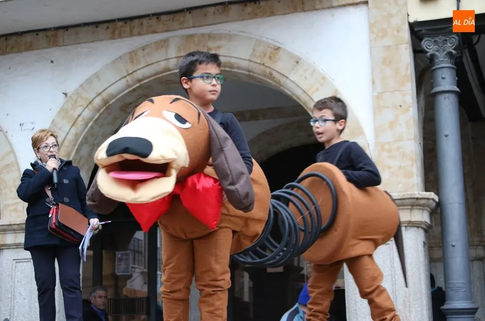 Foto 8 - GALER&Iacute;A DE IM&Aacute;GENES &ndash;&nbsp;Carnaval de Alba de Tormes